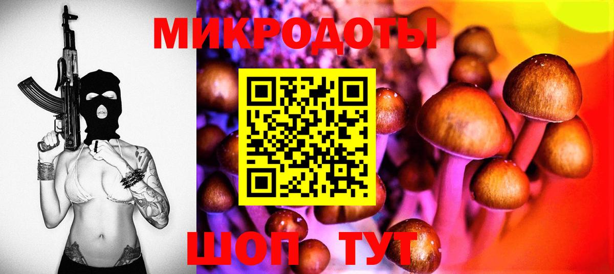 Якутск  Галлюциногенные грибы Psilocybine cubensis  Вход с VPN  Галлюциногенные грибы Psilocybine cubensis 